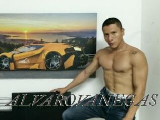 ALVAROVANEGAS Sexcams city