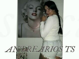 ANDREARIOS_TS
