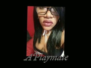 APlaymate