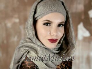 AamalMuslim Sexcams city