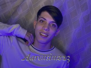 Aaronsinz23