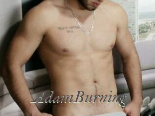 AdamBurning