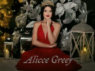 Alicce_Greey