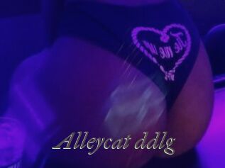 Alleycat_ddlg