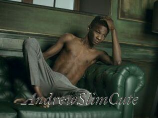 AndrewSlimCute