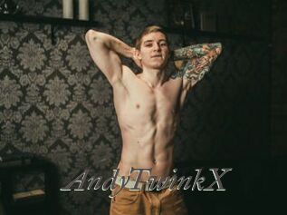 AndyTwinkX