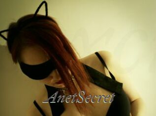 AnetSecret