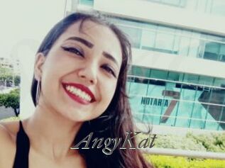 AngyKat