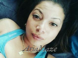 Aria_Maze