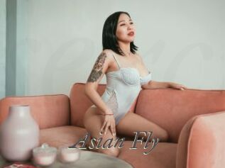 Asian_Fly