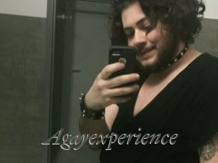 Agayexperience