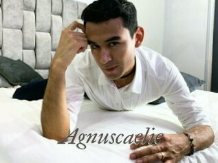 Agnuscaelie