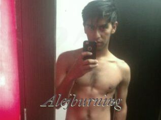 Alejburning
