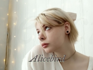 Alicebird