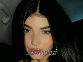 Alicerosi
