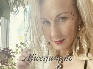 alicesjungalo Sexcams city