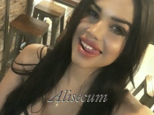 Alisecum