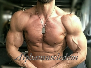 alphamuscledom Sexcams city