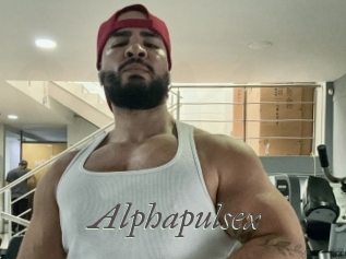 alphapulsex Sexcams city
