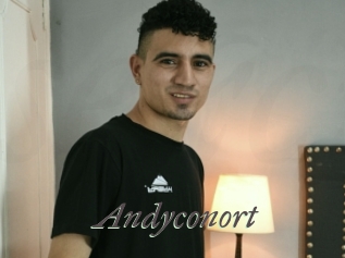 Andyconort