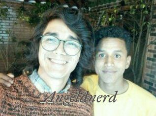 Angeldnerd