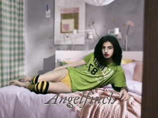 Angelfinch