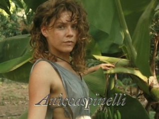 Aniccaspinelli