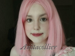 Anitacollier