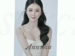 Annwin