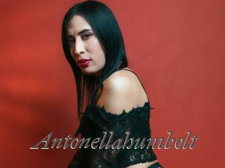 Antonellahumbolt
