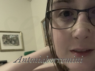 Antoniaborromini