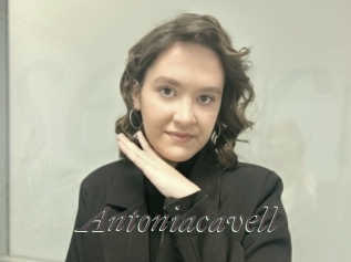 Antoniacavell