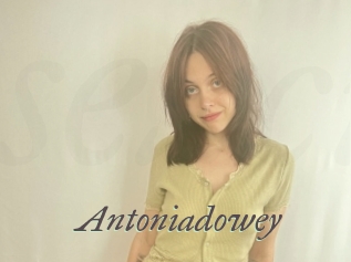 Antoniadowey