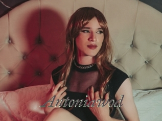 Antoniawod