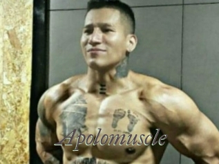 Apolomuscle