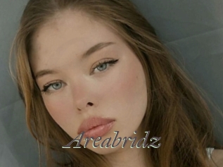 Areabridz
