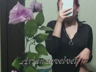 arianaavelvet Sexcams city