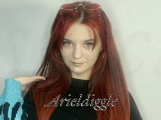 Arieldiggle