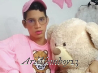 Arielfemboy23