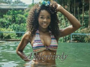 Ashleybirdy