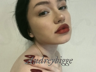 Audreybigge
