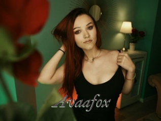 Avaafox