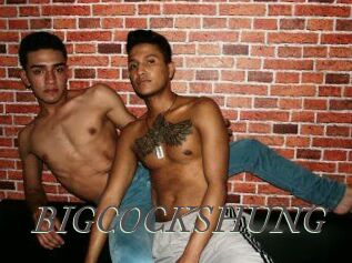 BIG_COCKS_HUNG