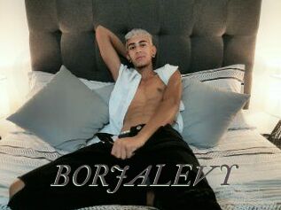 BORJALEVY