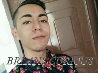 BRIANS_CURIOUS