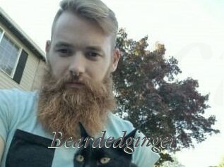 Beardedginger