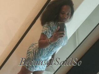 BecauseISaidSo