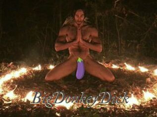 BigDonkeyDick Sexcams city
