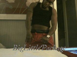 BigLittlePackage