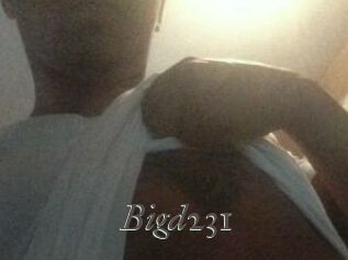 Bigd231